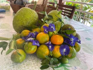 Ti Balata La Villa West Indies - 1