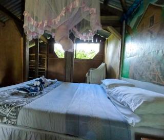 Tanna tree Top lodge - 1