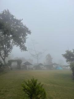 Korean Glamping Bali Camp V13 - 9