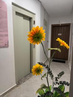 meknes moderne appartement - 2