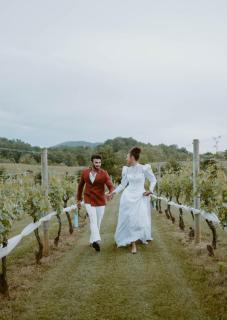 Events & Concierge! 6BR Heated Pool Near Wineries - 8