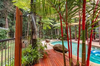 Fern House your serene rainforest retreat - 9