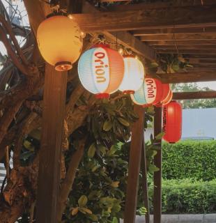 今帰仁の宿ハイビスカス - 3