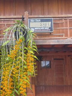 Sáu Thời Homestay Mù Cang Chải - 9