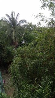 Rey Alexandra Suites 2 - 2
