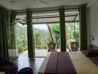 Rainforest Freedom - 3