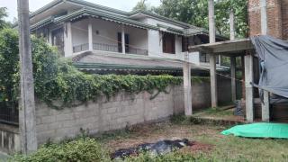 Green house - 5