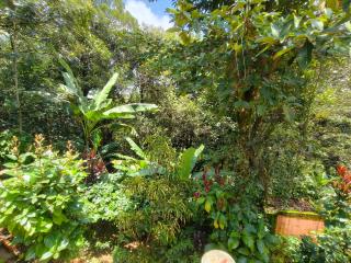 Sree Sai Bhagavathy Homestay - 1