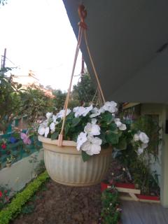 Gokul home stay Indore - 9