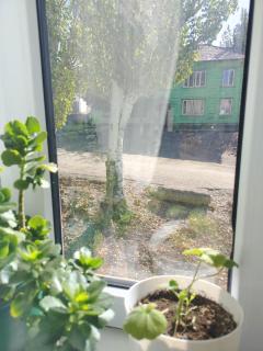 Min-Kush Guest House - 7