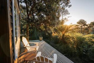 Listed PONGA LODGE Eco-Luxe Retreat Near Cathedral Cove - 3