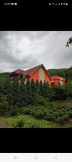 Şeki Villa - 8