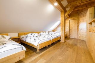 Apartma LD Puščava - 7