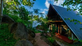 Dambulla Tiger Rock Hotel with Mountain Viewpoint - 7