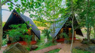Dambulla Tiger Rock Hotel with Mountain Viewpoint - 6