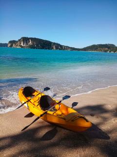 Taranoho Adventure Stay - Coromandel Activity & Accommodation Lodge - 1