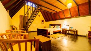 Dambulla Tiger Rock Hotel with Mountain Viewpoint - 0