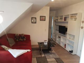 Oldenstadter Wassermuhle - 3