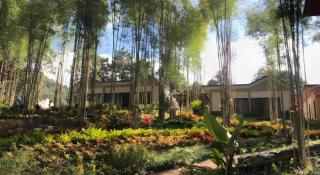 NantraKiri - 2