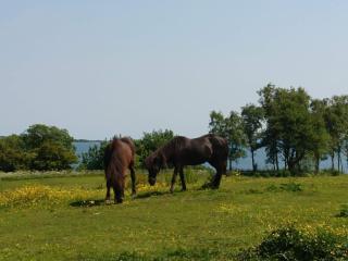 4 star holiday home in Aabenraa - 5