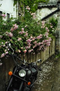 Wuyuan · Jianwai Rill·Wild Mountain Homestay - 3