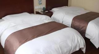 GreenTree Inn LiaoCheng LinQing HaiShan Building Express Hotel - 4