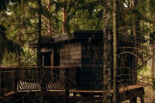 Lootvina Houses - Luxury treehouse with all modern amenities - 7