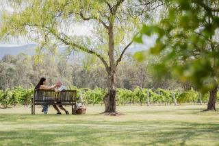 Spicers Vineyards Estate - 3