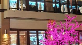 The Residence Airport & Spa Hotel - 3