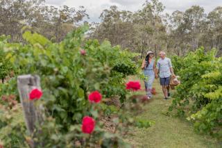 Spicers Vineyards Estate - 2