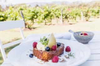 Spicers Vineyards Estate - 8