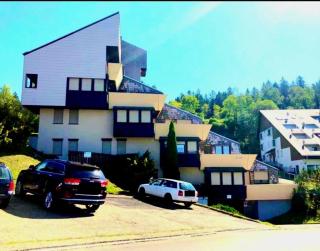 Appartment im Schwarzwald - 1