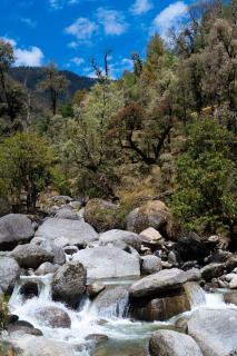 Saraaya Glamps, Dharamshala - 7