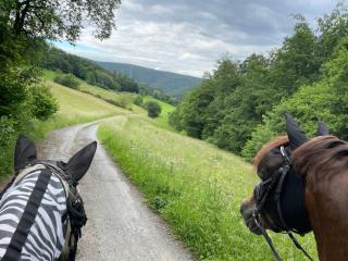 Ponyparadies - 7