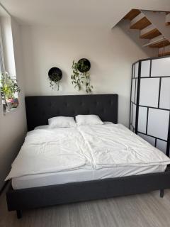 Central Poděbrady Duplex - 3