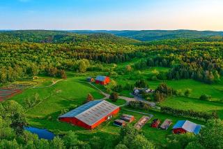 Radiant Mountain Cabin with Scenic Retreat near Pleasant Mount, Pennsylvania - 6