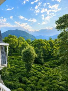 Shimpchu Home - Beautiful Mountains View - 8