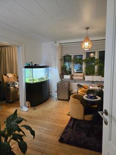Glostrup - Shared apartment for Adults 35-60 LGBT EU,US,UK only - 6