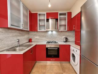 City-view apartment near Opera & Northern Ave - 6