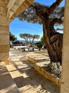 Luxury Villa in front of the famous Pont-du-Gard. - Castillon-du-Gard - 3