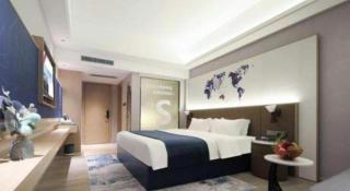 Vienna Hotel Shenzhen Pinghu Shuangyong Street Metro Station - 1