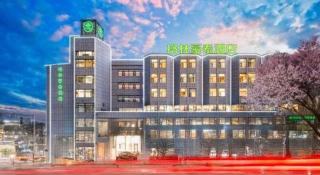 GreenTree Inn Geermu Walking Street Business Hotel - 2