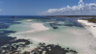 Watamu Beach Cottages B&B - 1