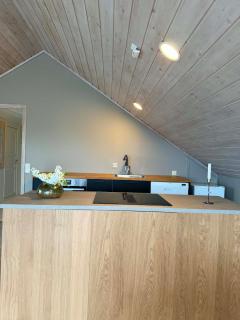 Beautiful Seaview Apartment near Stavanger - 5