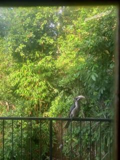 Sandi Holiday Homestay - 6