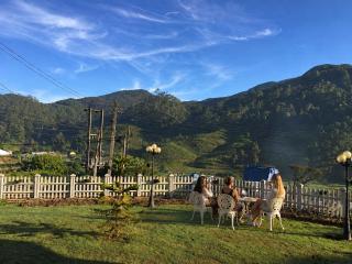 Midky Hotel, Nuwara Eliya - 7
