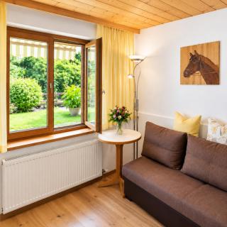 Ferienwohnung Wilder Kaiser & Kitzbüheler Alpen SkiWelt & Hohe Salve ITD099 - 1
