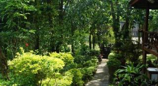Rai Aeifoon Resort - 1