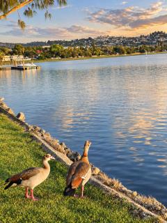 Knysna - Sunseeker Chalet - Knysna - 6