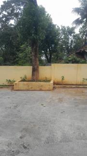 Y Home - 1
